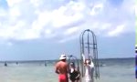 Lustiges Video : Hausgemachter Haikäfig