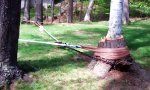 Lustiges Video : Baum entwurzeln dank simpler Mechanik
