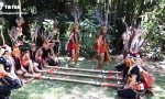 Lustiges Video : Der Bambuskriegertanz