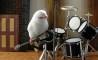 Fun Pic - Donnerstags Fun PicDump #42 - 62