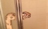 Fun Pic - Donnerstags Fun PicDump #46 - 78