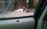 Fun Pic - Donnerstags Fun PicDump #58 - 52