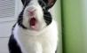 Fun Pic - Donnerstags Fun PicDump #65 - 140