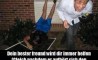 Fun Pic - Donnerstags Fun PicDump #65 - 76
