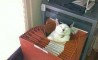 Fun Pic - Donnerstags Fun PicDump #79 - 129