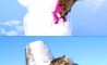 Fun Pic - Donnerstags Fun PicDump #79 - 157