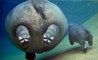 Fun Pic - Donnerstags Fun PicDump #79 - 5