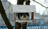 Fun Pic - PicDump zum Sonntag - 12