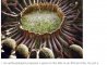 Fun Pic - Donnerstags Fun PicDump #91 - 49