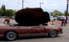 Fun Pic - Donnerstags Fun PicDump #99 - 1