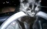 Fun Pic - Donnerstags Fun PicDump #99 - 108
