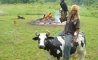 Fun Pic - Donnerstags Fun PicDump #99 - 68