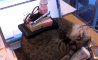 Fun Pic - Donnerstags Fun PicDump #103 - 18