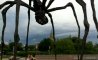 Fun Pic - Donnerstags Fun PicDump #109 - 56