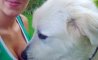 Fun Pic - Donnerstags Fun PicDump #109 - 64