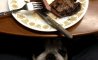 Fun Pic - Donnerstags Fun PicDump #113 - 40