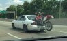 Fun Pic - Donnerstags Fun PicDump #115 - 39