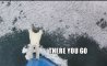 Fun Pic - Donnerstags Fun PicDump #118 - 68