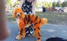 Fun Pic - Donnerstags Fun PicDump #122 - 44