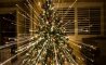 Fun Pic - Donnerstags Fun PicDump #126 - 101