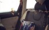 Fun Pic - Donnerstags Fun PicDump #126 - 65