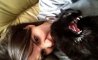 Fun Pic - Donnerstags Fun PicDump #127 - 33