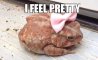 Fun Pic - Donnerstags Fun PicDump #127 - 84