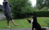 Fun Pic - Donnerstags Fun PicDump #128 - 27