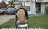 Fun Pic - Donnerstags Fun PicDump #130 - 61