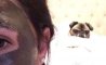 Fun Pic - Donnerstags Fun PicDump #132 - 16