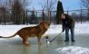 Fun Pic - Donnerstags Fun PicDump #132 - 24