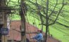 Fun Pic - Donnerstags Fun PicDump #132 - 76