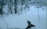 Fun Pic - Donnerstags Fun PicDump #132 - 84