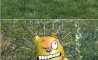 Fun Pic - Donnerstags Fun PicDump #137 - 98