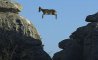 Fun Pic - Donnerstags Fun PicDump #143 - 49