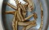 Fun Pic - Donnerstags Fun PicDump #144 - 117