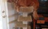 Fun Pic - Donnerstags Fun PicDump #144 - 121