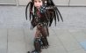 Fun Pic - Donnerstags Fun PicDump #146 - 52