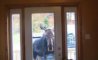 Fun Pic - Donnerstags Fun PicDump #147 - 112