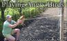 Fun Pic - Donnerstags Fun PicDump #147 - 52
