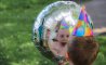 Fun Pic - Donnerstags Fun PicDump #150 - 32