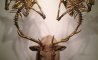 Fun Pic - Donnerstags Fun PicDump #152 - 102