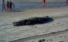 Fun Pic - Donnerstags Fun PicDump #152 - 38