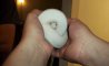 Fun Pic - Donnerstags Fun PicDump #152 - 54