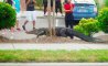 Fun Pic - Donnerstags Fun PicDump #152 - 70