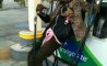 Fun Pic - Donnerstags Fun PicDump #158 - 16