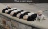 Fun Pic - Donnerstags Fun PicDump #161 - 57