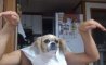 Fun Pic - Donnerstags Fun PicDump #162 - 53