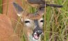 Fun Pic - Donnerstags Fun PicDump #162 - 55