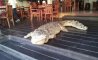 Fun Pic - Donnerstags Fun PicDump #162 - 56